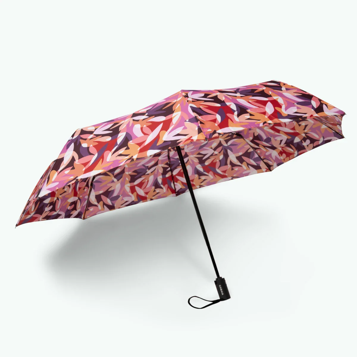 Parapluie Montreuil