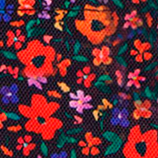 Pochette Nano Indiana State Museum - Image 2
